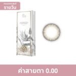 PEGAVISION พีก้าวิชั่น คาโอริ ลอเริล บราวน์ ชนิดรายวัน 0.00 (10 ชิ้น)