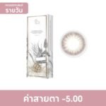 PEGAVISION พีก้าวิชั่น คาโอริ โรสแมรี่ บราวน์ ชนิดรายวัน -5.00 (10 ชิ้น)
